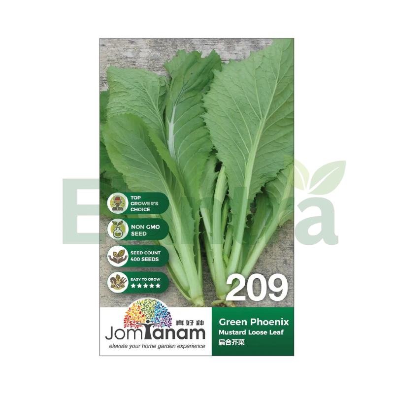 209 MUSTARD LOOSE LEAF